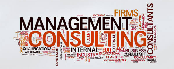 Management/Consulting